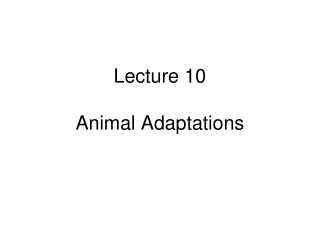 Lecture 10 Animal Adaptations