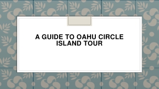 A Guide to Oahu Circle Island Tour