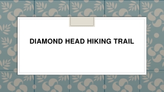 Diamond Head Hiking Trail