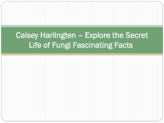 Caisey Harlingten – Explore the Secret Life of Fungi Fascinating Facts