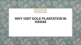 Why Visit Dole Plantation in Hawaii