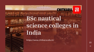 BSc nautical science colleges in India