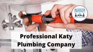 Professional Katy Plumbing Company