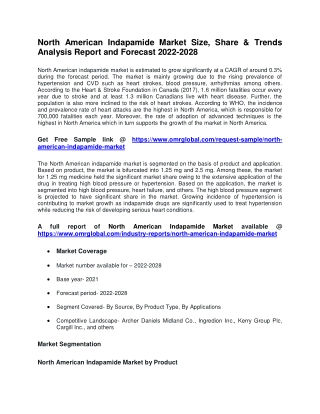 North American Indapamide Market