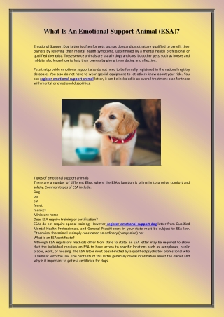 What Is An Emotional Support Animal (ESA)?