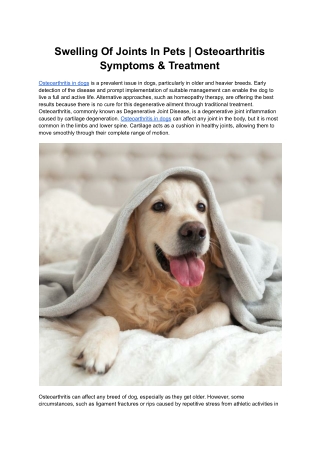Swelling Of Joints In Pets _ Osteoarthritis Symptoms & Treatment