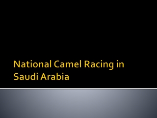 National Camel Racing in Saudi Arabia