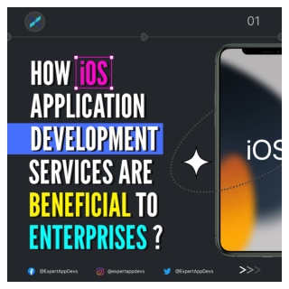 Why Enterprises should use iOS application development services