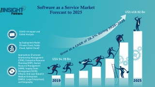 Software as a Service Market to Reach 418.92 Billion at CAGR of 28.3% by 2025