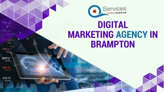 Digital Marketing Agency in Brampton