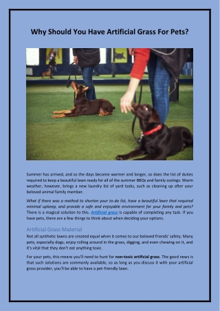 Why Should You Have Artificial Grass For Pets?