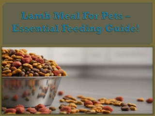 Lamb Meal For Pets – Essential Feeding Guide!