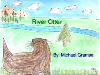 River Otter