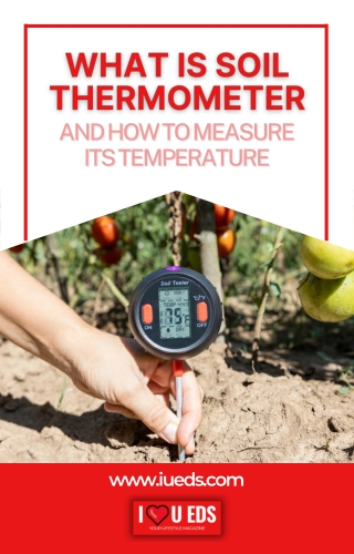 The Importance Of A Soil Thermometer And How To Use It