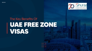 The Key Benefits of UAE Free Zone Visas