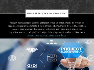 What is Project Management