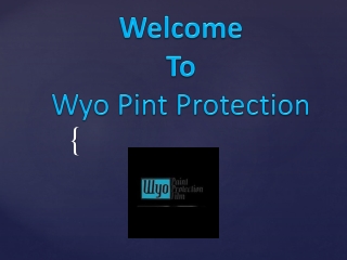Best Protective Film Car Cheyenne Wyoming | Wyo Paint Protection