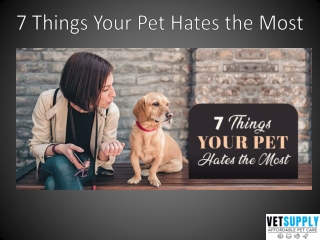 7 Things Your Pet Hates the Most | VetSupply