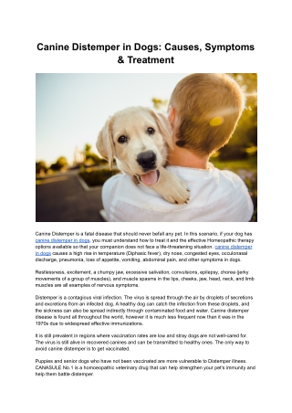 Canine Distemper in Dogs_ Causes, Symptoms & Treatment
