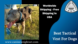 Best Tactical Vest For Dogs