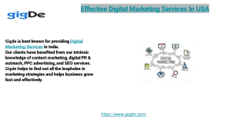 Effective Digital Marketing Services In USA