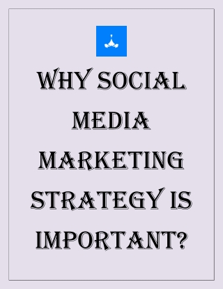 Social Media Management Services