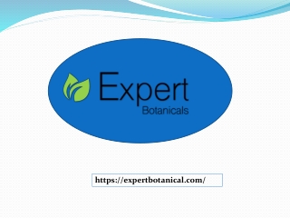 Most Trusted Wholesale organic herb supplier in the USA