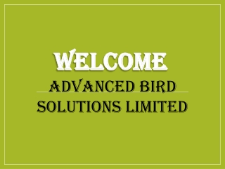 Best Commercial Bird Control Services in Feltham