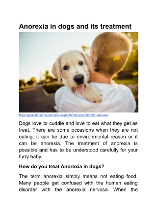 Anorexia in dogs and its treatment