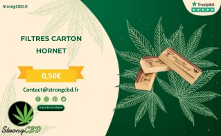 FILTRES CARTON HORNET