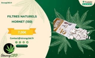 FILTRES NATURELS HORNET (150)