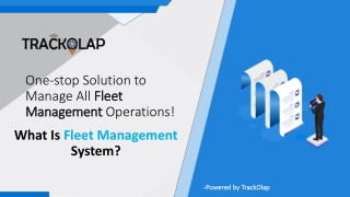 What Is Fleet Management System?