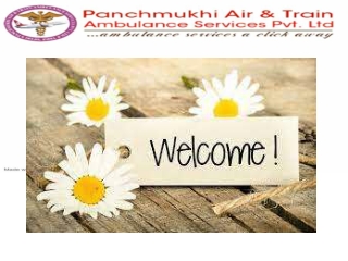 Panchmukhi Road Ambulance Services in Arjangarh–Ava Nagar, Delhi