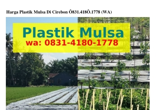 Harga Plastik Mulsa Di Cirebon ౦8౩1_ㄐ18౦_1778{WA}