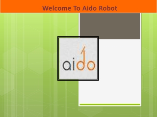 Aido Robot