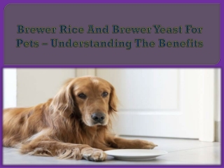 Brewer Rice And Brewer Yeast For Pets – Understanding The Benefits