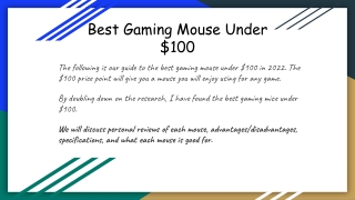 best mouse under $100