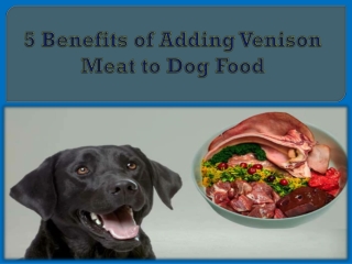 5 Benefits of Adding Venison Meat to Dog Food