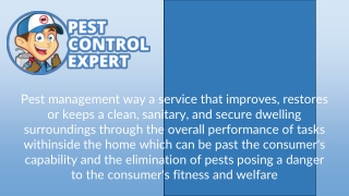 Pest Control Services - Pest Control Expert