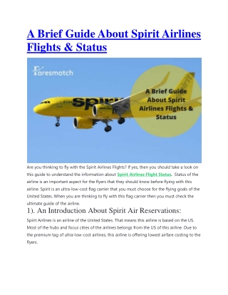 A Brief Guide About Spirit Airlines Flights