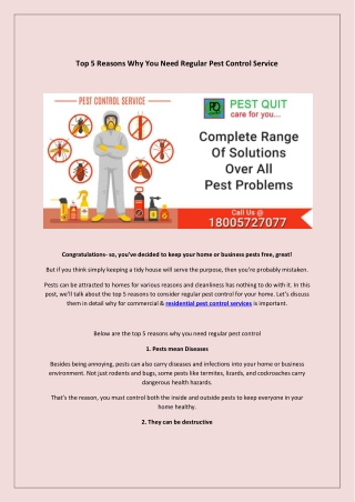 Top 5 Reasons Why You Need Regular Pest Control Service