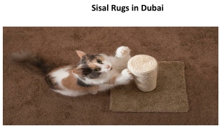 Sisal Rugs in Dubai