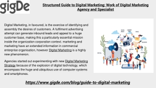 Structured Guide to Digital Marketing: Work of Digital Marketing Agency