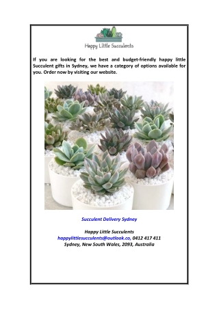 Succulent Delivery Sydney Happylittlesucculents.com.au