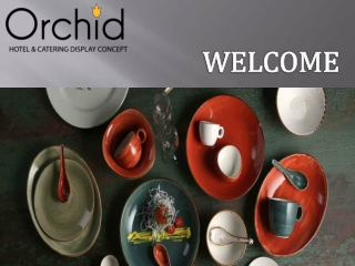 Colored Crockery for Dinnerware | Orchid