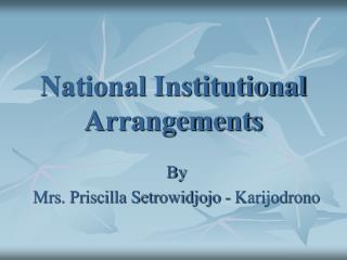 National Institutional Arrangements