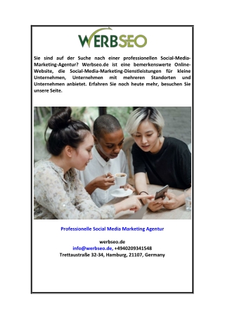 Professionelle Social Media Marketing Agentur Werbseo.de