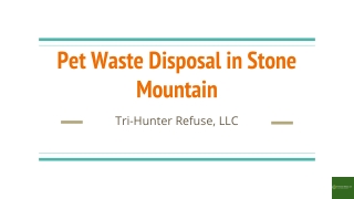 Pet Waste Disposal in Stone Mountain