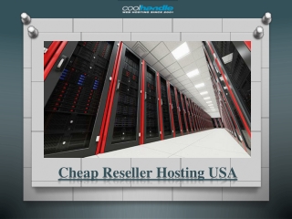 Cheap Reseller Hosting USA