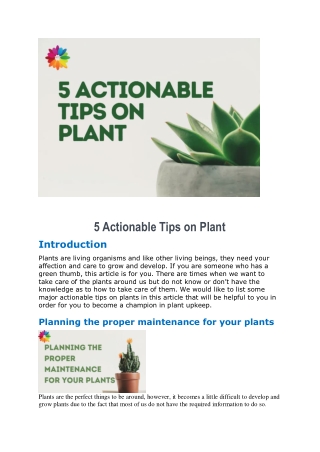 5 Actionable Tips on Plant (4)